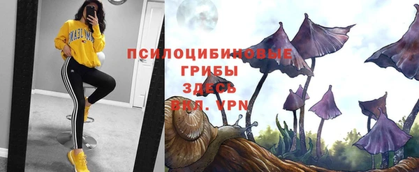 метамфетамин Липки